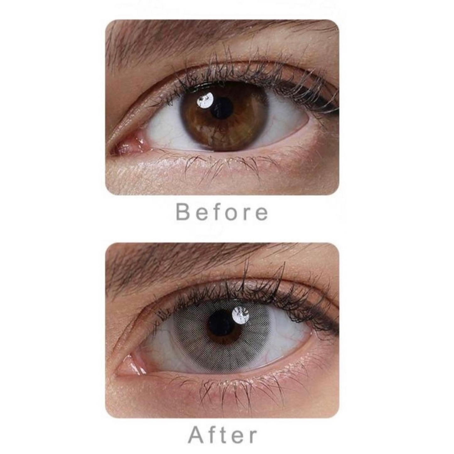 Ice Gray Yearly Lenses